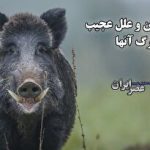 مراکز شماره گذاری خودرو فردا تعطیل نیست