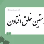 معنی کنایه ” در پوستین خلق افتادن “