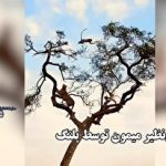 رکورد تاریخی قیمت بیت‌کوین شکسته شد