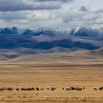 دیگر دیوار بزرگ آسیا؛ کشف بقایای سازه‌ای قرون وسطایی در قلب مغولستان