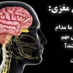 اینستاگرام و یوتیوب هر روز ما را فریب می‌دهند