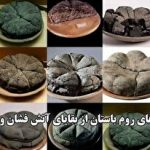 هوش مصنوعی؛ شریک آینده‌نگر مدیریت بحران‌های جهانی