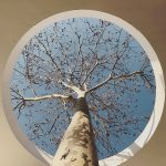 وقتی معماری، هم ترمیمکننده است و هم پناهگاهی برای آرامش(+تصاویر)