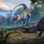 پایان جدال قدیمی دیرینه‌شناسان؛ تی‌رکس نابالغ بالاخره گونه‌ای مستقل شناخته شد