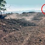 بازار جهانی خودروهای برقی در سال ۲۰۲۵