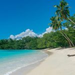 ۲۰ ساحل بهشتی جهان مشخص شدند؛ شن‌های طلایی، آب‌های شفاف و آرامش