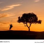 نمونه‌ عکس‌های ثبت شده با دوربین سری هواوی میت ۸۰ پیش از رونمایی منتشر شد