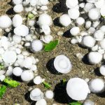 افزایش طوفان‌های تگرگ در جهان و ارتباط آن با گرمایش زمین