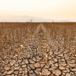 از خشکسالی تا سیلاب؛ کشورهای عربی زیر فشار سنگین گرمایش زمین هستند