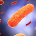 میکروب‌ها؛ تهدید یا کلید سلامت انسان؟ نگاهی نو به نقش میکروب‌ها