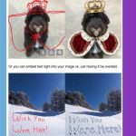 انقلاب گوگل در ویرایش عکس با Nano Banana؛ امکان ویرایش عکس با نقاشی مستقیم روی تصویر