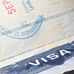 هشدار گوگل و اپل به کارمندان خود: از آمریکا خارج نشوید