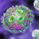 دانشمندان یک گونه زیستی شگفت‌انگیزی کشف کرده‌اند که شبیه خورشید است