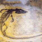 کشف قدیمی‌ترین جد تمساح‌سانان پوزه‌باریک ۸۰ میلیون ساله در مصر